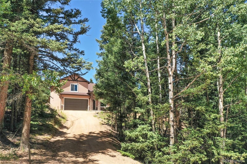 71 Mt Elbert Dr, Florissant, CO 80816