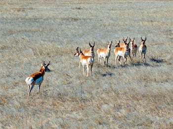 Parcel 1 County Road 185, Byers, CO 80103