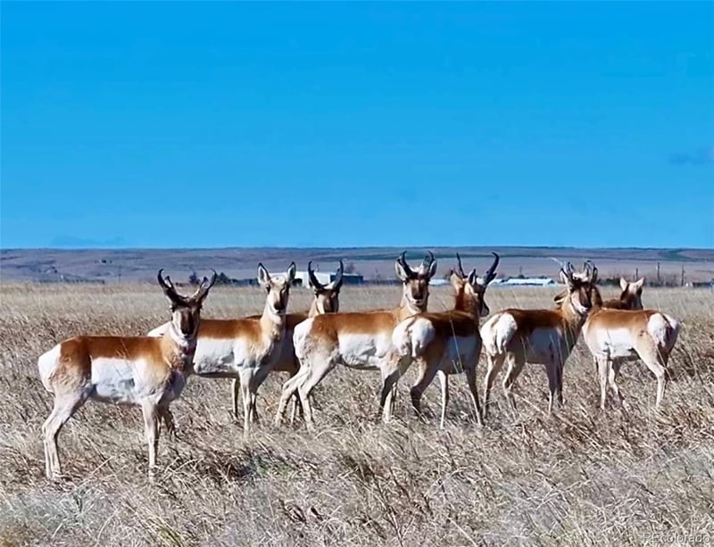 Parcel 1 County Road 185, Byers, CO 80103