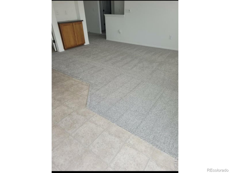 1070 Mt Oxford Ave, Severance, CO 80550