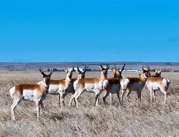 Parcel 2 County Road 185, Byers, CO 80103