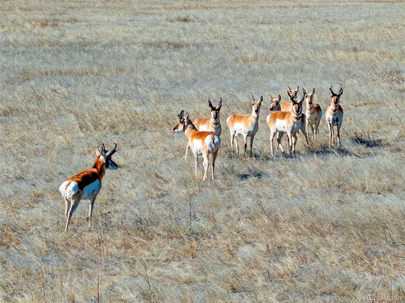 Parcel 3 County Road 185, Byers, CO 80103