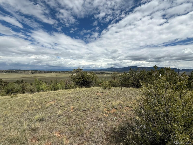 1769 Settele Dr, Hartsel, CO 80449