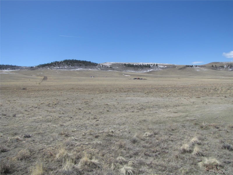 3860 Wichita Trl, Hartsel, CO 80449