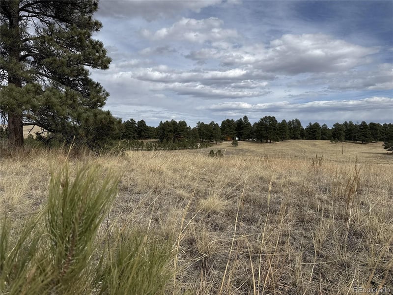 39080 County Road 21, Elizabeth, CO 80107