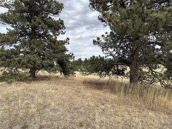 39080 County Road 21, Elizabeth, CO 80107