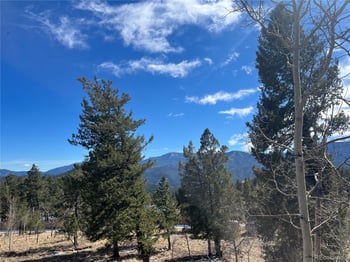 53 Deerhaven Dr, Bailey, CO 80421