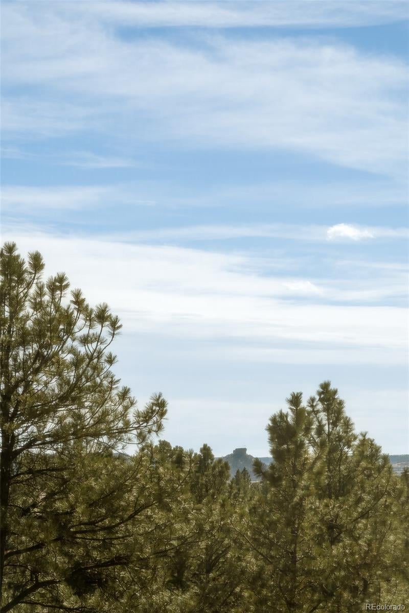 364 Morning Star Way, Castle Rock, CO 80108