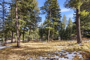 7837 Settlers Dr, Morrison, CO 80465