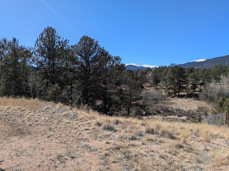 261 Appleby St, Bailey, CO 80421