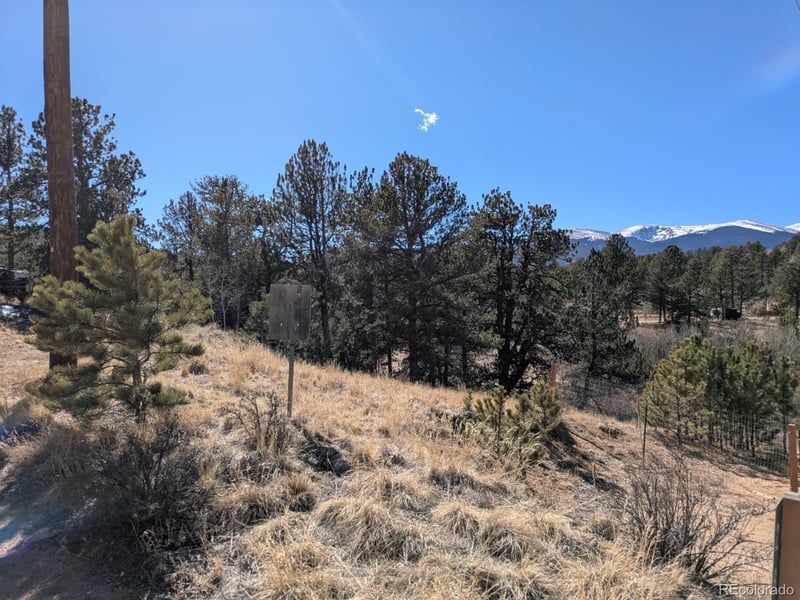 261 Appleby St, Bailey, CO 80421