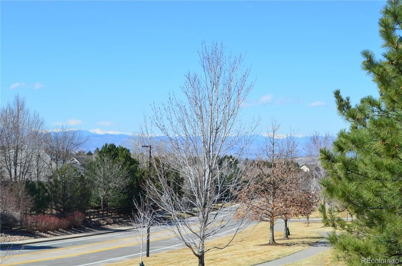 4405 Millwagon Trl, Castle Rock, CO 80109