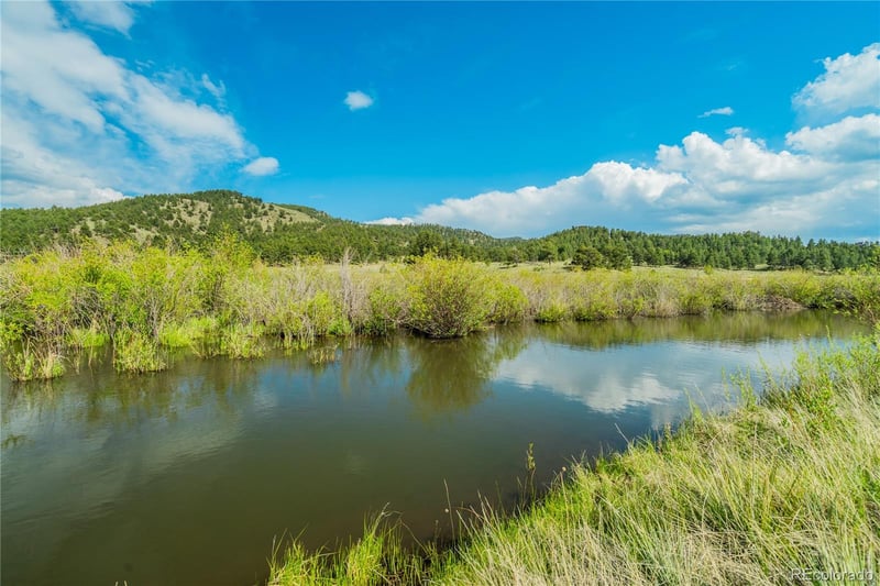 224 Lakeview Forest Hts, Florissant, CO 80816