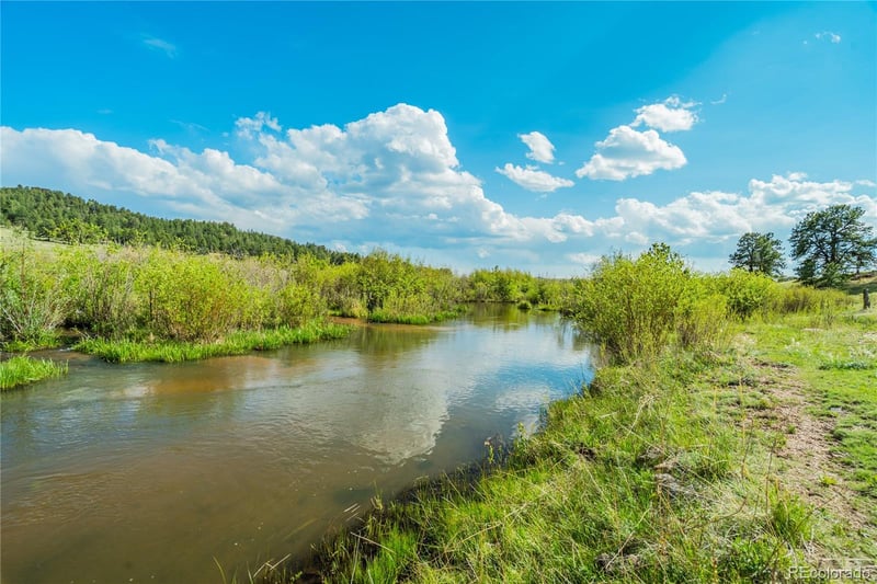 224 Lakeview Forest Hts, Florissant, CO 80816