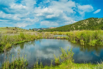 224 Lakeview Forest Hts, Florissant, CO 80816