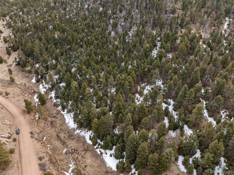 278 Penrose Cir, Florissant, CO 80816