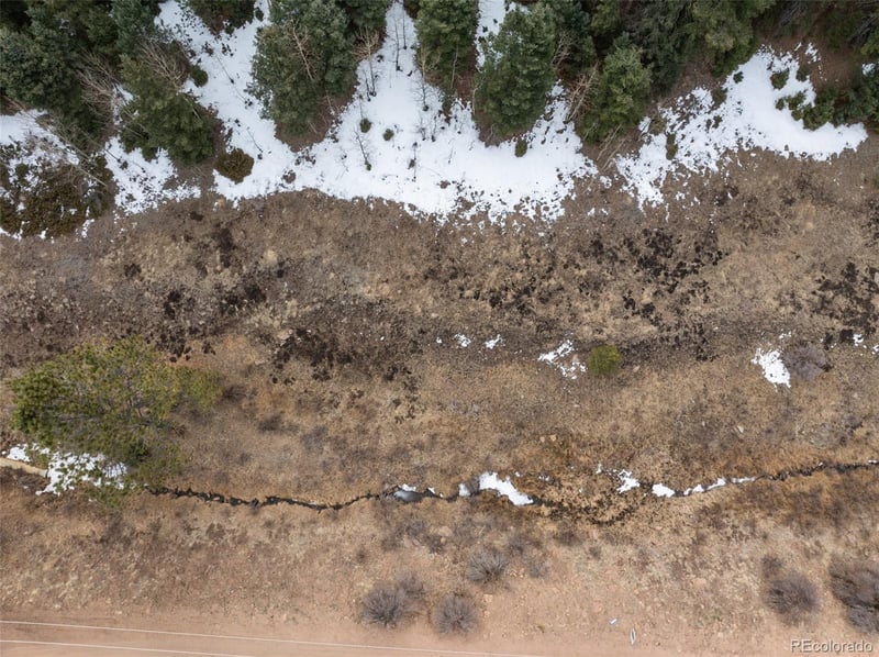 278 Penrose Cir, Florissant, CO 80816