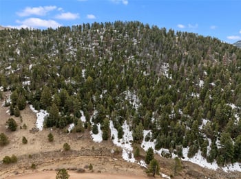 278 Penrose Cir, Florissant, CO 80816