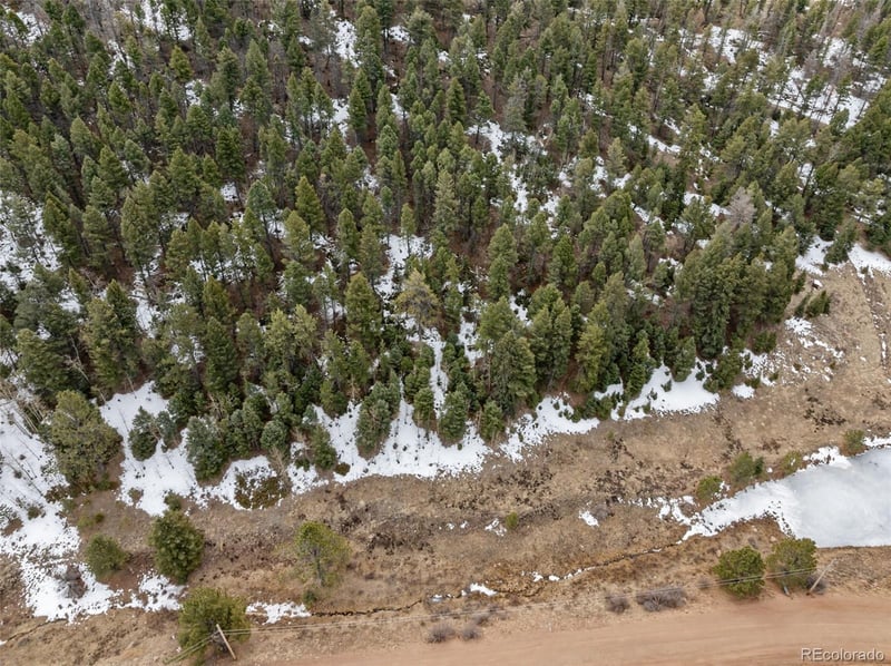 278 Penrose Cir, Florissant, CO 80816