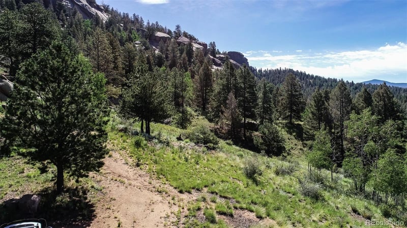 235 Hay Creek Rd, Florissant, CO 80816