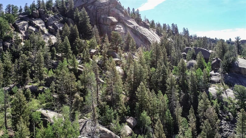 235 Hay Creek Rd, Florissant, CO 80816