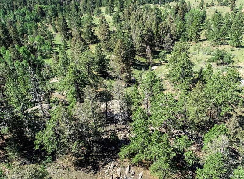 235 Hay Creek Rd, Florissant, CO 80816