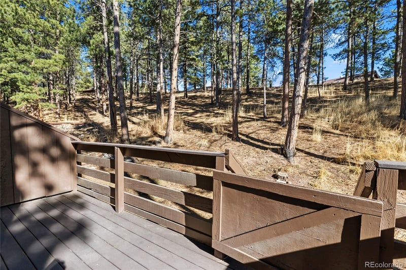 570 Manor Ct #D, Woodland Park, CO 80863