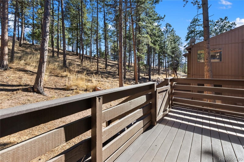 570 Manor Ct #D, Woodland Park, CO 80863