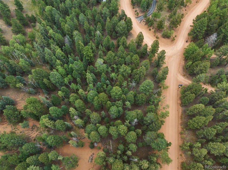 810 Ridge Rd, Divide, CO 80814