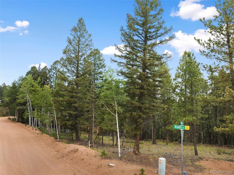 810 Ridge Rd, Divide, CO 80814