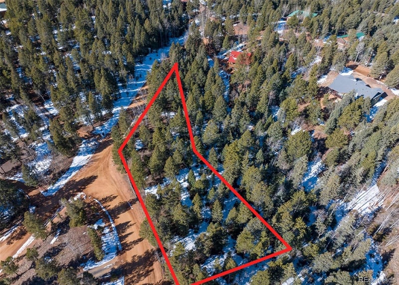 810 Ridge Rd, Divide, CO 80814