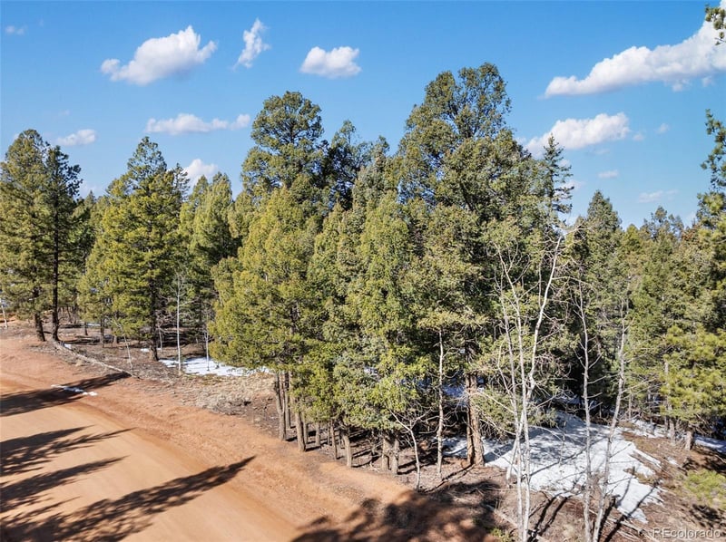 810 Ridge Rd, Divide, CO 80814