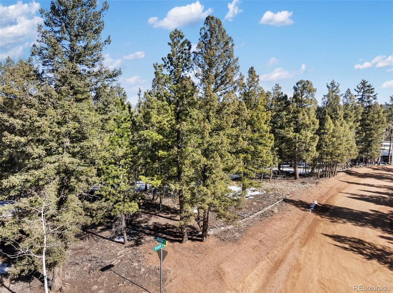 810 Ridge Rd, Divide, CO 80814