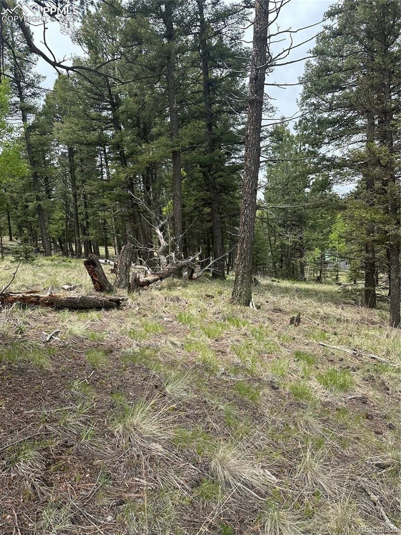 11201086 N Mountain Estates Rd, Florissant, CO 80816