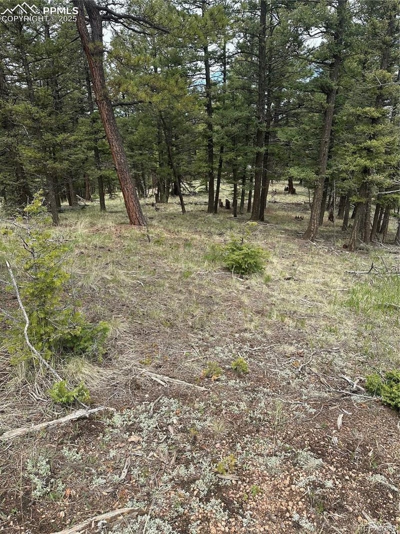 11201086 N Mountain Estates Rd, Florissant, CO 80816