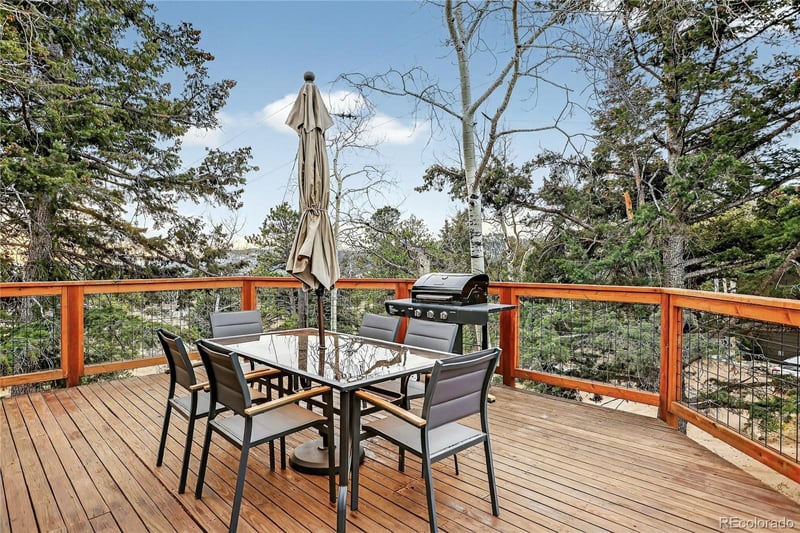 9039 Bertha Ct, Morrison, CO 80465