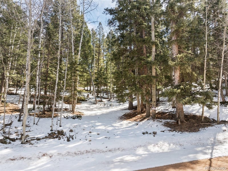 358 Pawutsy Rd, Florissant, CO 80816