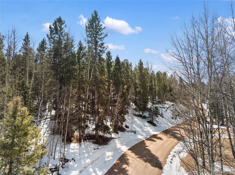 358 Pawutsy Rd, Florissant, CO 80816