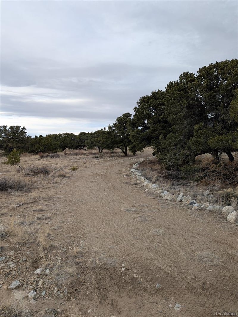 Lot 2 20th St, Blanca, CO 81123