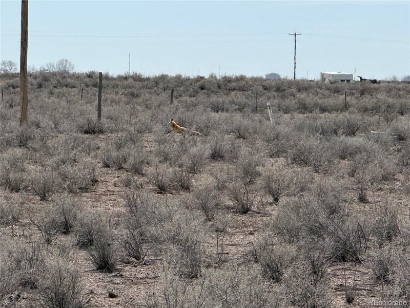 01 Cr D 875, Center, CO 81125