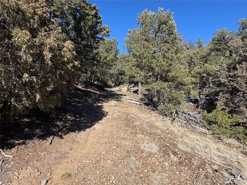 1214 Kevin Dr, Cotopaxi, CO 81223