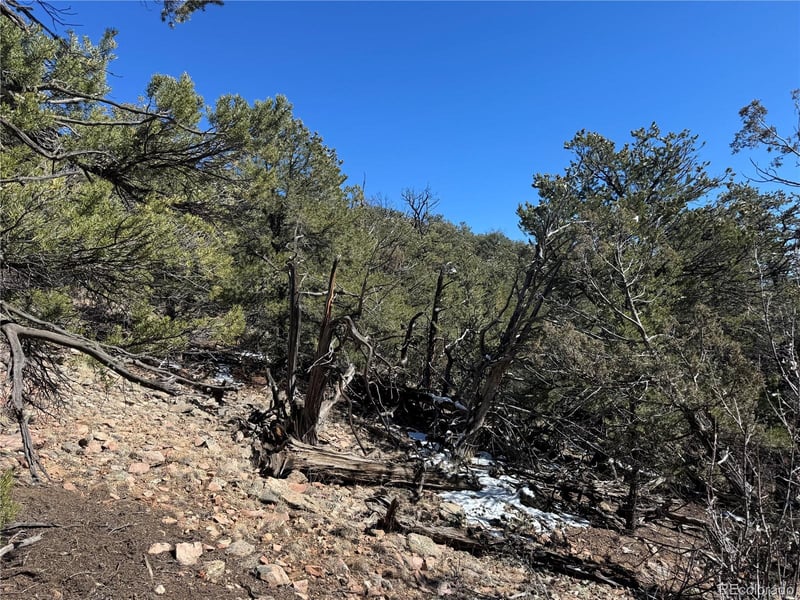 1214 Kevin Dr, Cotopaxi, CO 81223