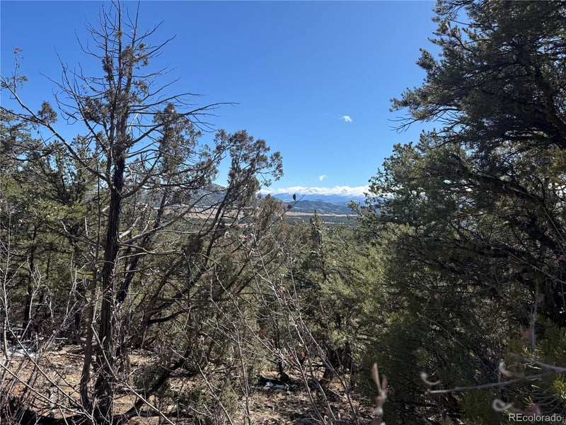 1214 Kevin Dr, Cotopaxi, CO 81223