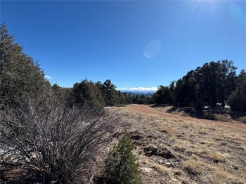 1214 Kevin Dr, Cotopaxi, CO 81223