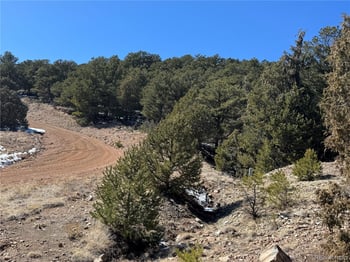 1114 Kevin Dr, Cotopaxi, CO 81223