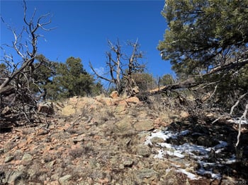 1114 Kevin Dr, Cotopaxi, CO 81223