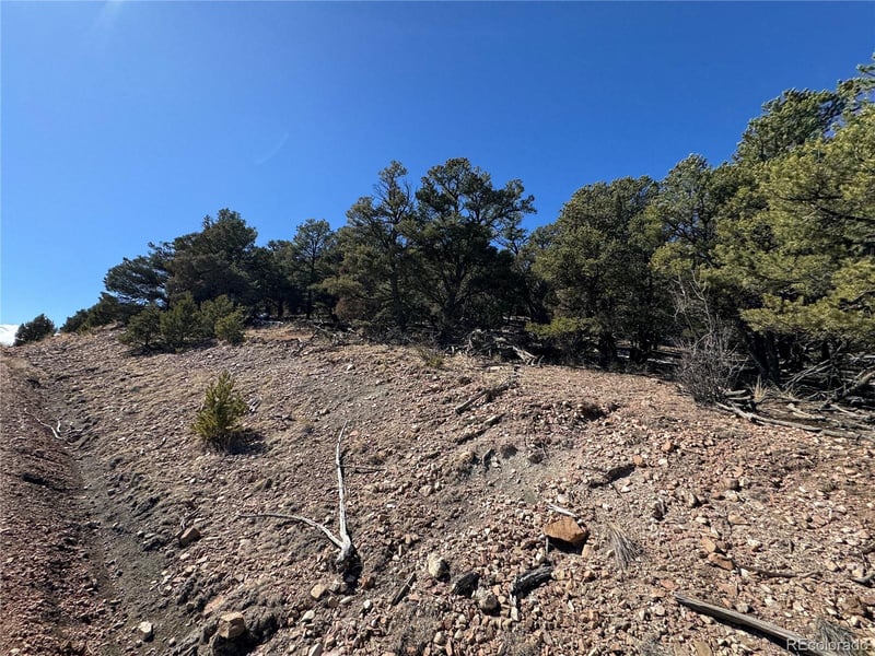 1114 Kevin Dr, Cotopaxi, CO 81223