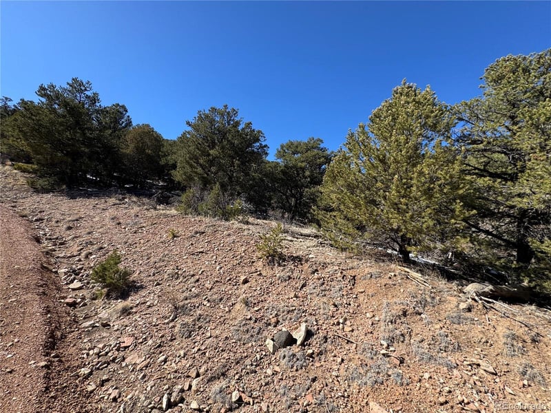 1114 Kevin Dr, Cotopaxi, CO 81223