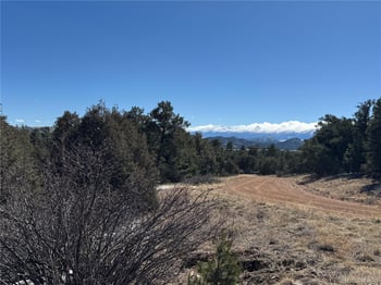 1114 Kevin Dr, Cotopaxi, CO 81223