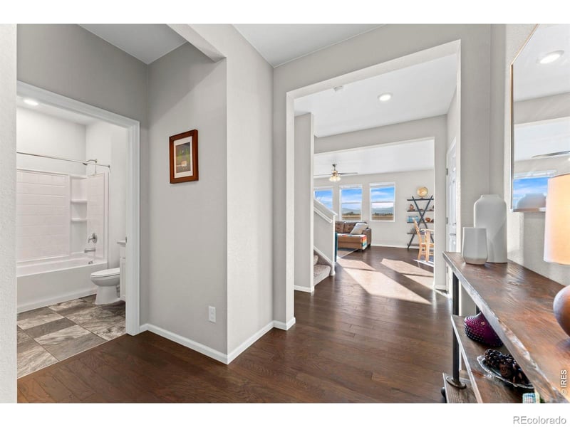 860 Camberly Dr, Windsor, CO 80550